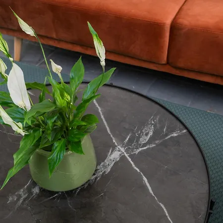 Piazza Cavour Zen Garden-zen36 アパート *